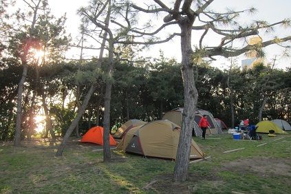 イメージ 21