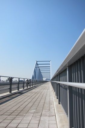 イメージ 11