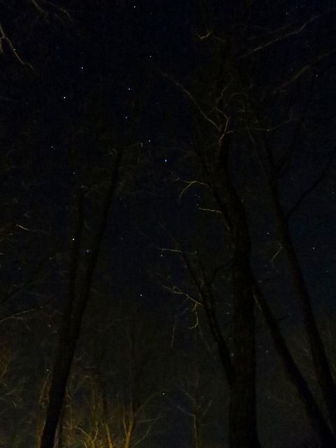 イメージ 15