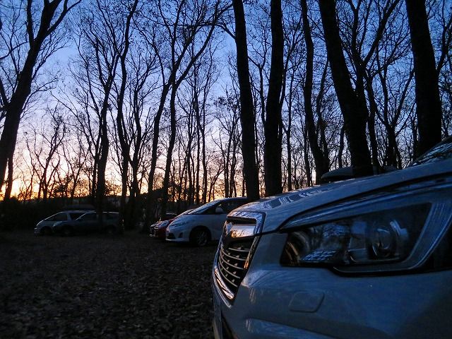 イメージ 8