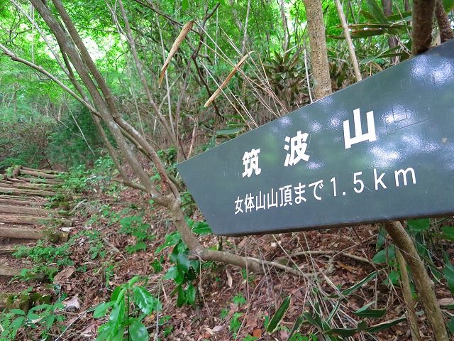 イメージ 4