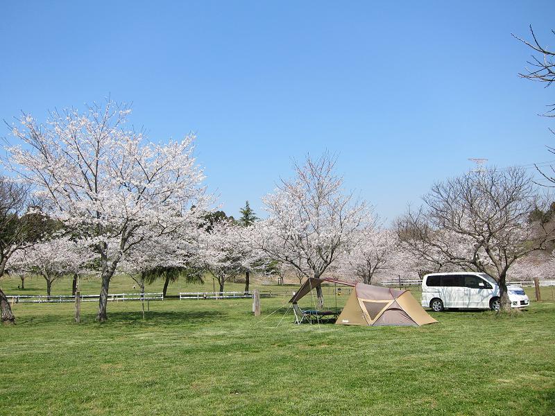 イメージ 5