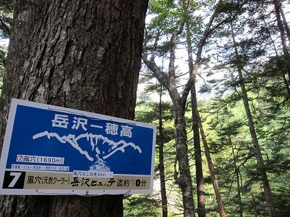 イメージ 19