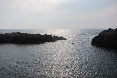 イメージ 16