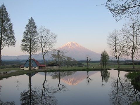イメージ 25