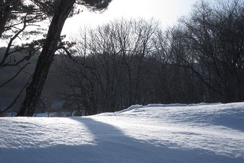 イメージ 4