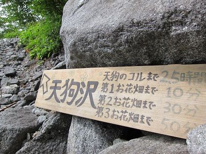 イメージ 7