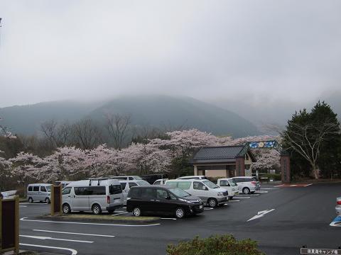 イメージ 6