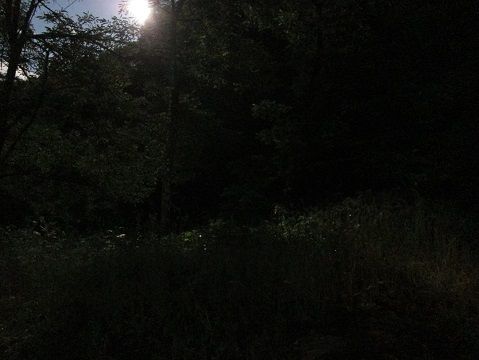 イメージ 6