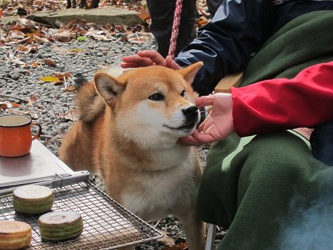 イメージ 8
