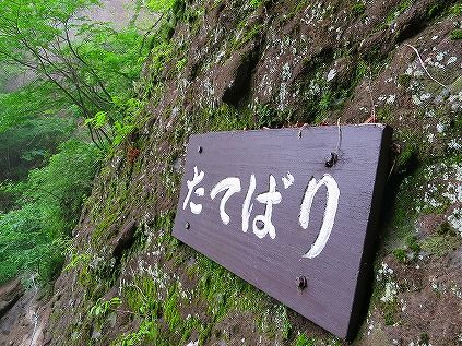 イメージ 25