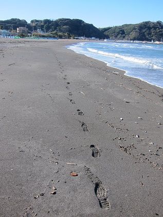 イメージ 16