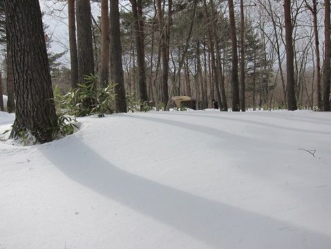 イメージ 12