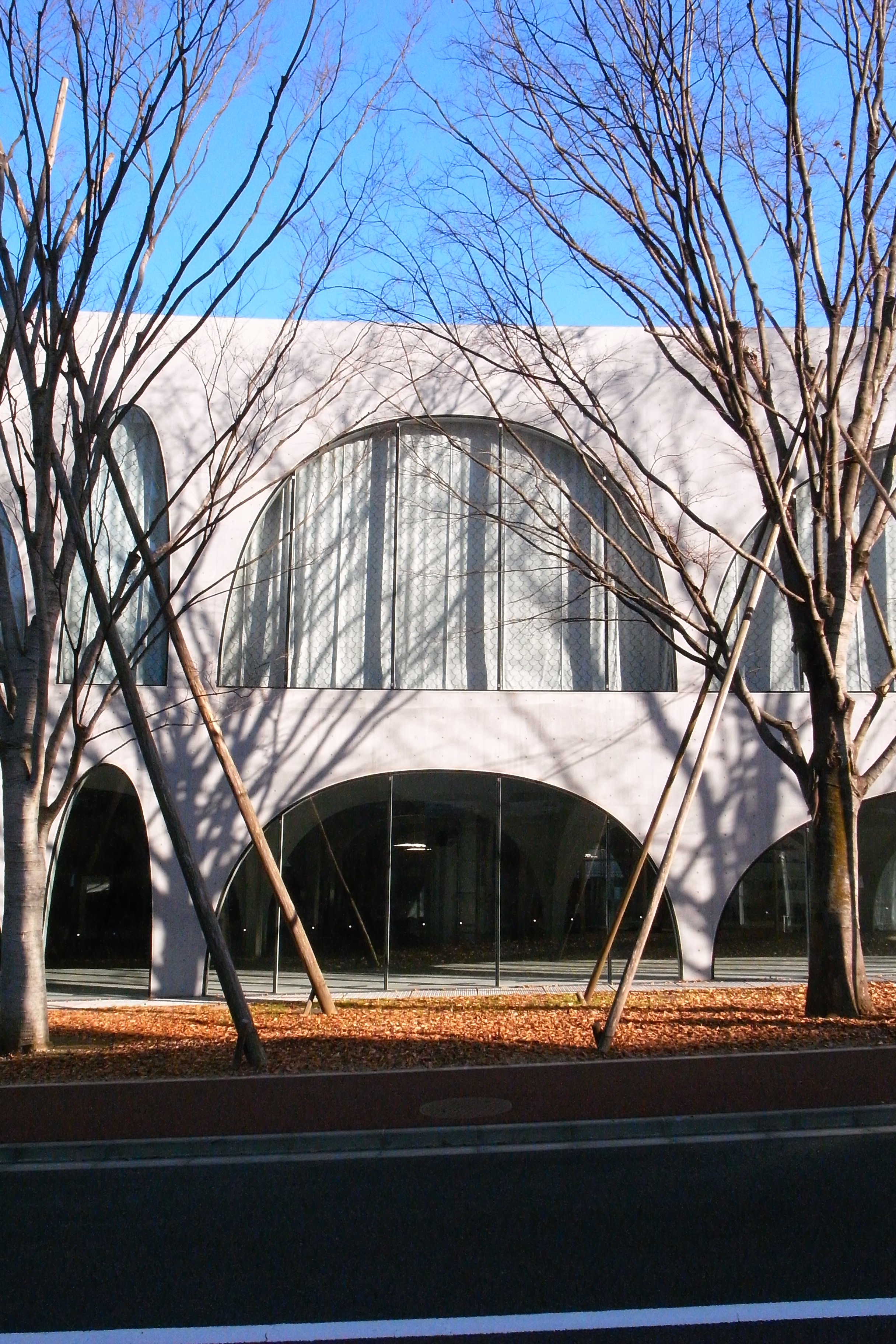 多摩美術大学 図書館 放浪記