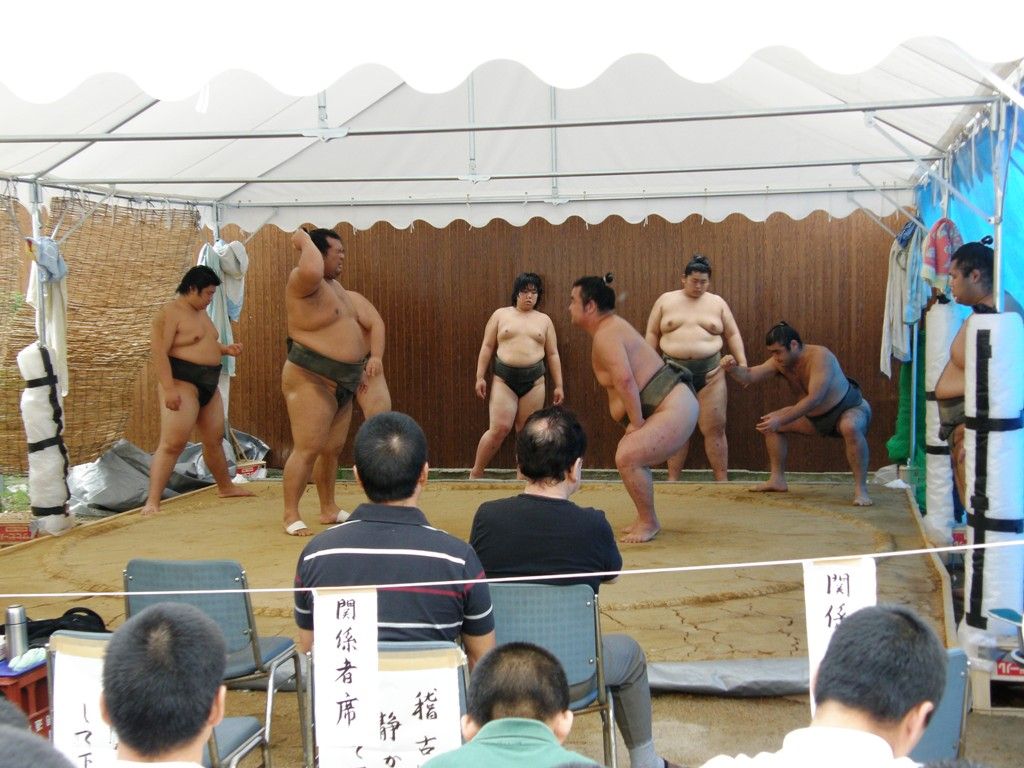 貴乃花部屋 朝稽古を見学 猫の欠伸研究室 アーカイブ 貴乃花部屋 朝稽古を見学 猫の欠伸研究室 アーカイブ