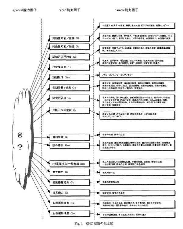 知能のCHC理論（その2） : 猫の欠伸研究室（アーカイブ）