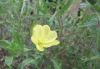 32791e37.jpg