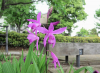 34c580f9.jpg