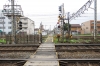 50121c48.jpg