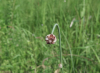 53b5e615.jpg