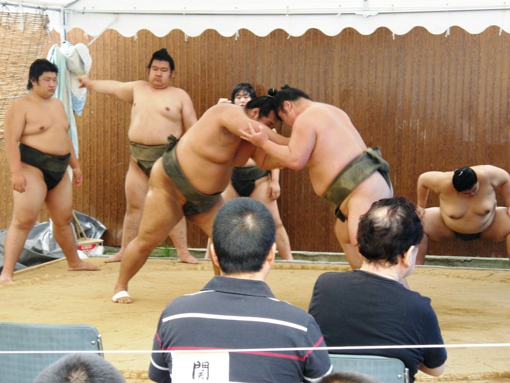貴乃花部屋 朝稽古を見学 猫の欠伸研究室 アーカイブ 貴乃花部屋 朝稽古を見学 猫の欠伸研究室 アーカイブ