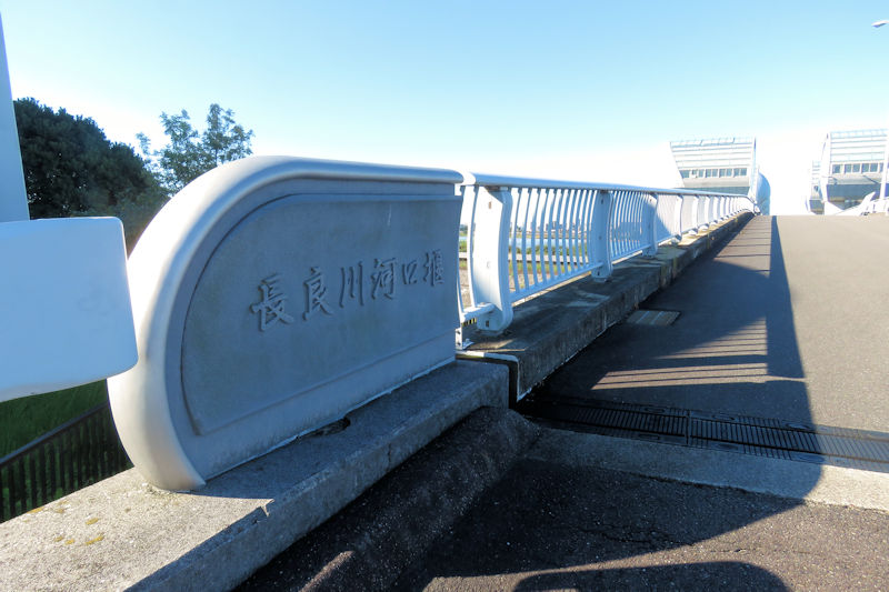 河口堰でカワセミ イソヒヨドリ イソシギなどを見て上機嫌 猫の欠伸研究室 アーカイブ