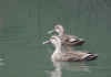 a473142b.jpg