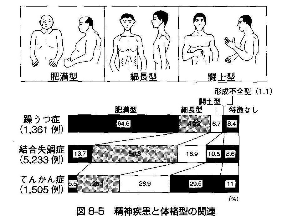 Big Five 性格の心理学の最近の進歩から 猫の欠伸研究室 アーカイブ