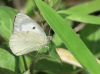 fd4480a0.jpg