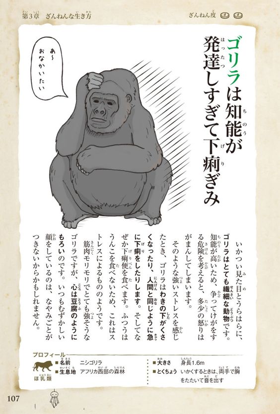 ゴリラのこころは豆腐メンタル Fujiyamart