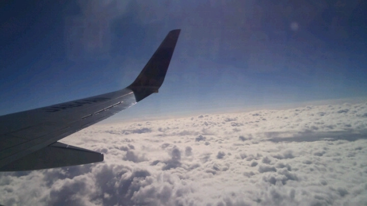 b6b00977.jpg