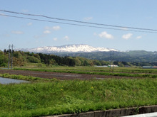 c0fee874.jpg