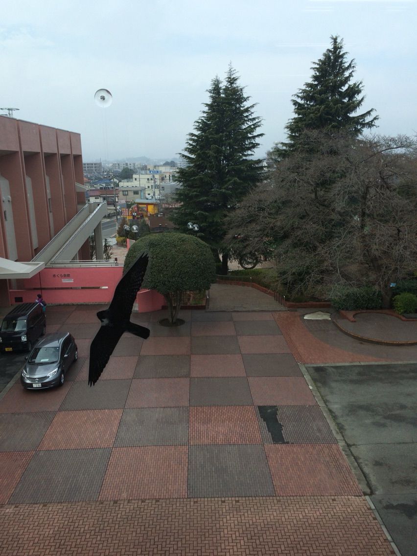 2015-03-19-09-54-51