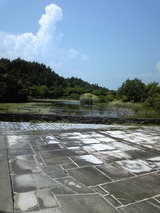 224f022c.jpg