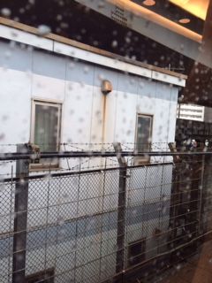 20140125