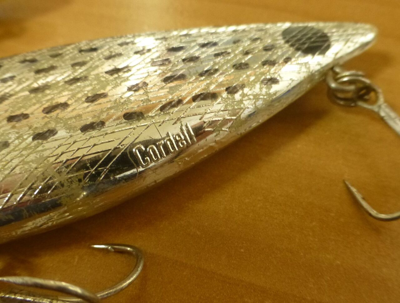 コットンコーデル・ホットスポット : 高橋大河 両手を縛った釣りの話