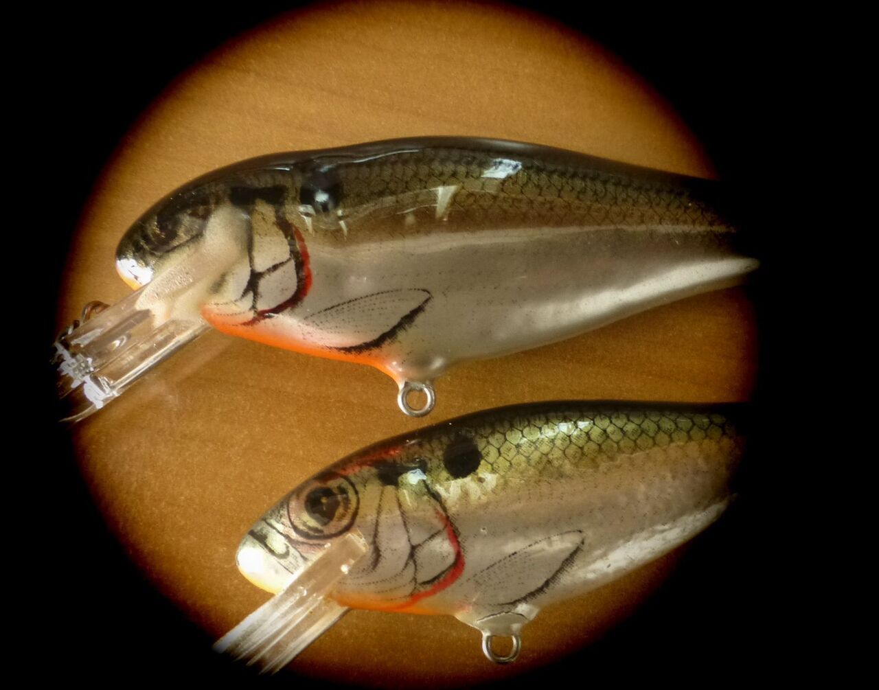 フェイバリットカラー バグリー編 : 高橋大河 両手を縛った釣りの話