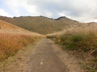CIMG0122