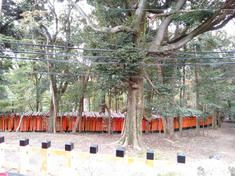 IMG20191118132249