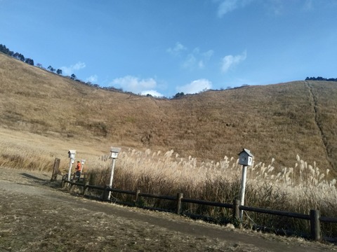 IMG20201116152710