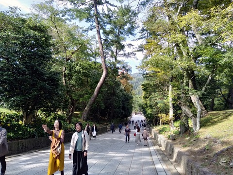 IMG20191016135510