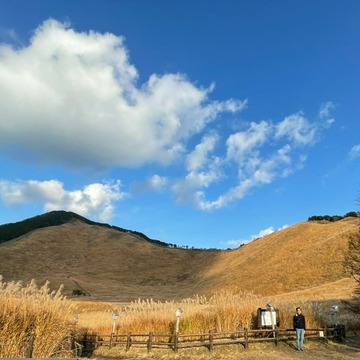 IMG_20201116_235244_641
