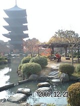 12377c39.jpg