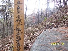 100_7637 100_7637