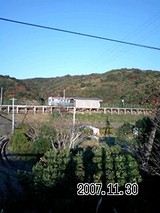 42359075.jpg