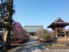 五宝寺(群馬県館林市・新義真言宗) 3 五宝寺(群馬県館林市・新義真言宗) 3