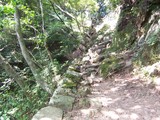 道なき道が続く男坂