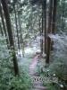 090909_1446~0001 090909_1446~0001