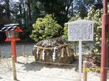 下鴨神社 さざれ石(君が代)