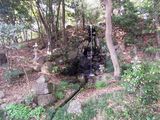 珊瑚寺 不動の滝